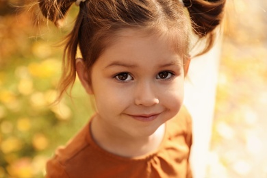Photo of Cute little girl in sunny park. Autumn walk