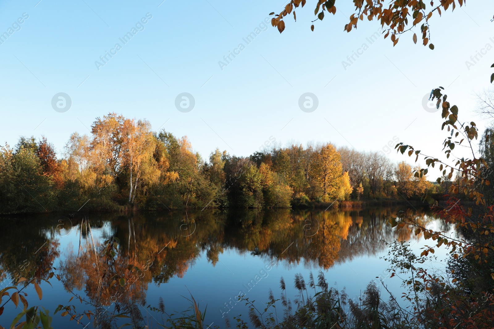 Photo of Picturesque view of lake and trees on autumn day