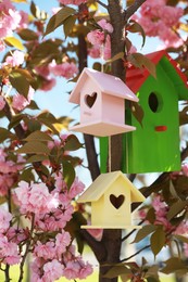 Photo of Different bird houses on tree branches outdoors