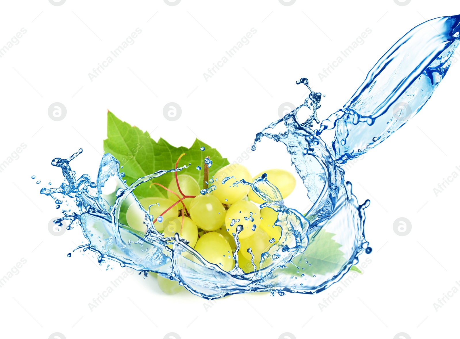 Image of Grape cluster with water splash on white background