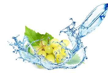 Image of Grape cluster with water splash on white background