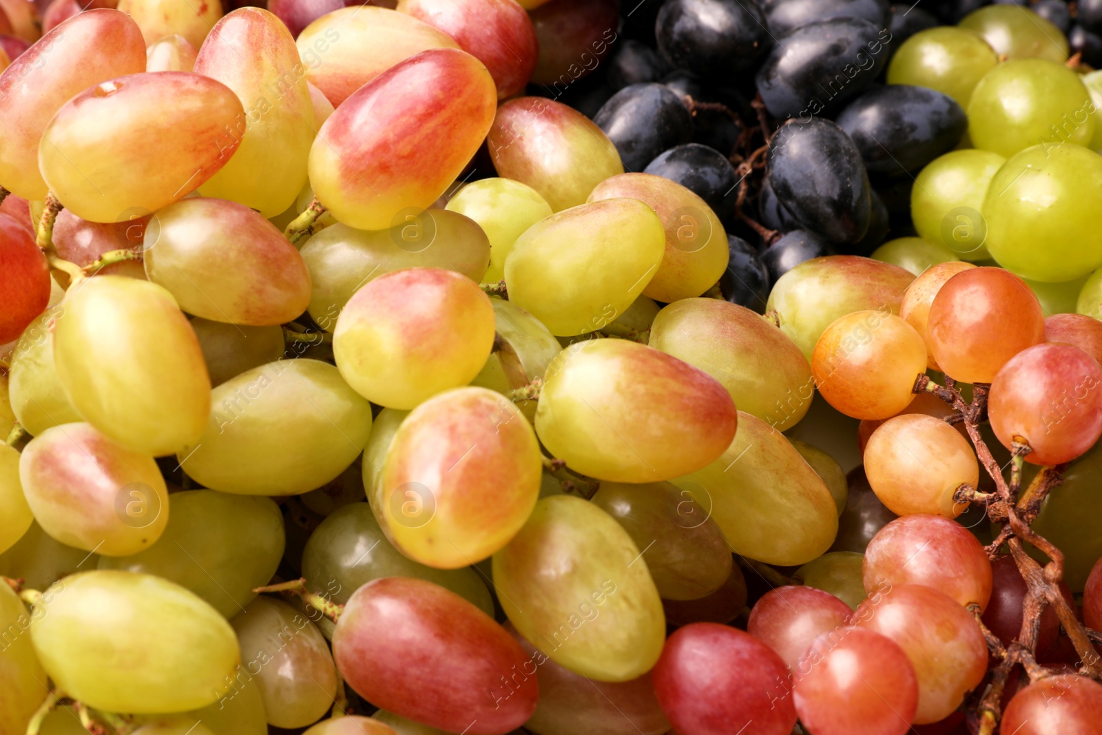 Photo of Fresh ripe juicy grapes as background, closeup