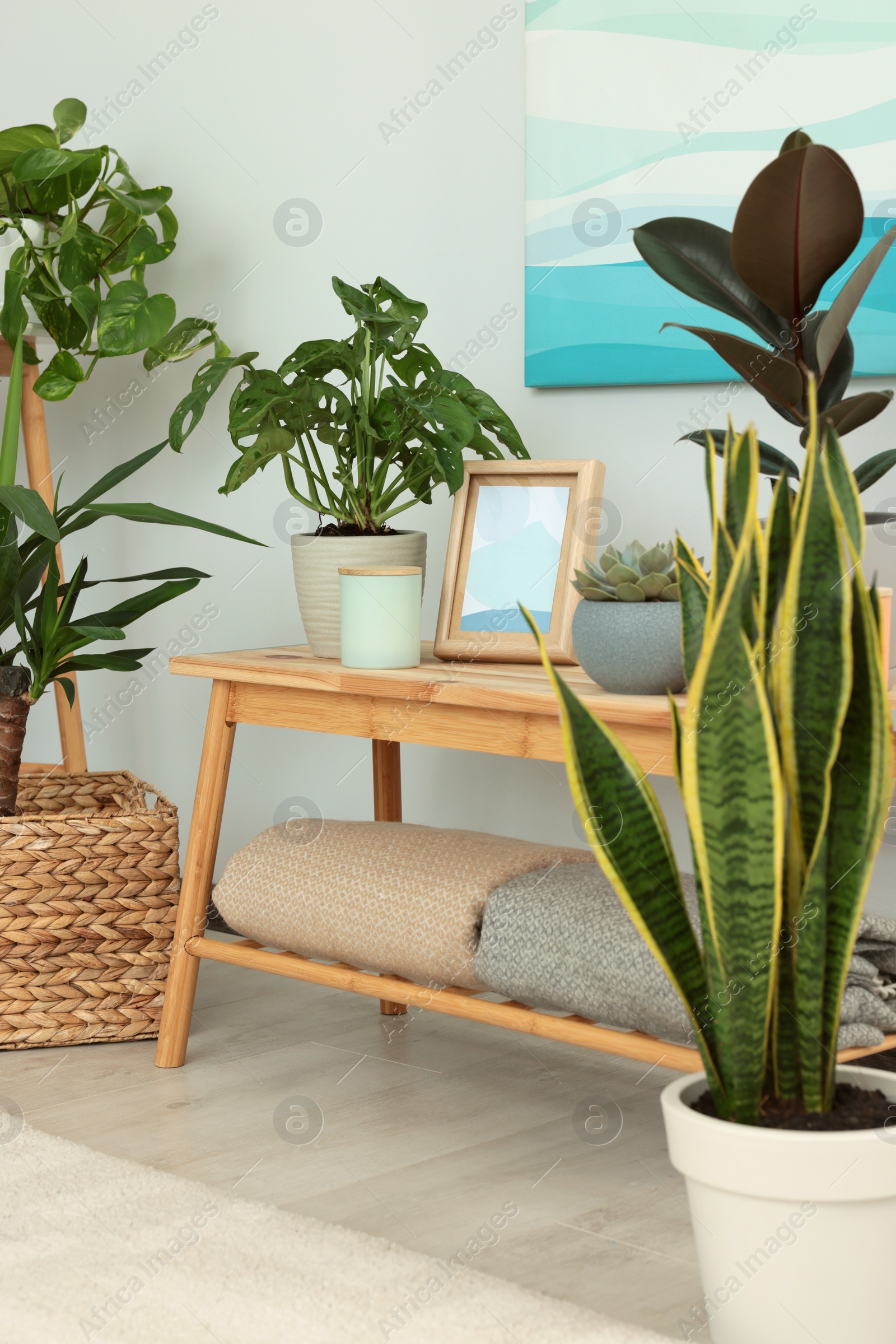 Photo of Beautiful room interior with green houseplants and wooden table