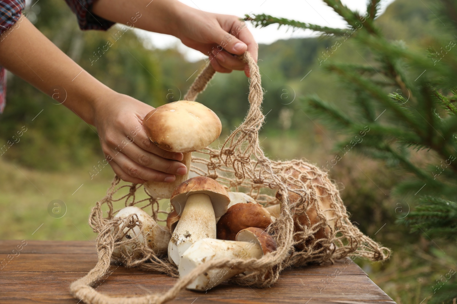 Photo of Woman putting fresh mushroom into string bag at wooden table outdoors, closeup