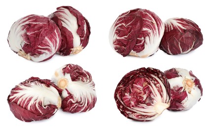 Image of Set with fresh ripe radicchios on white background 