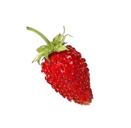 Photo of One ripe wild strawberry isolated on white