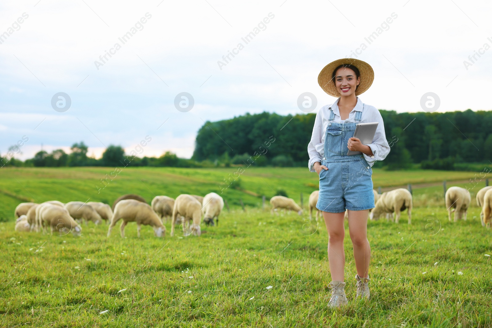 Photo of Smiling woman with tablet on pasture at farm. Space for text