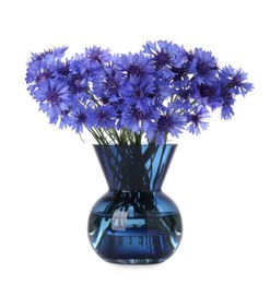 Beautiful bouquet of cornflowers in vase isolated on white