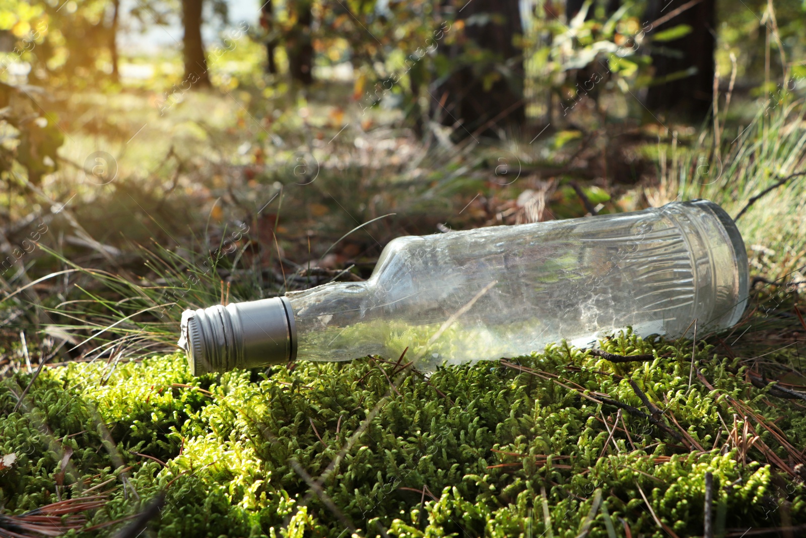 Photo of Used glass bottle on grass in forest. Recycling problem