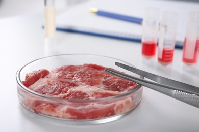 Photo of Petri dish with piece of raw cultured meat and tweezers on white table in laboratory, closeup