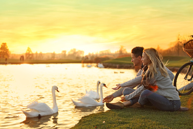 Photo of Young couple near lake with swans at sunset. Perfect place for picnic