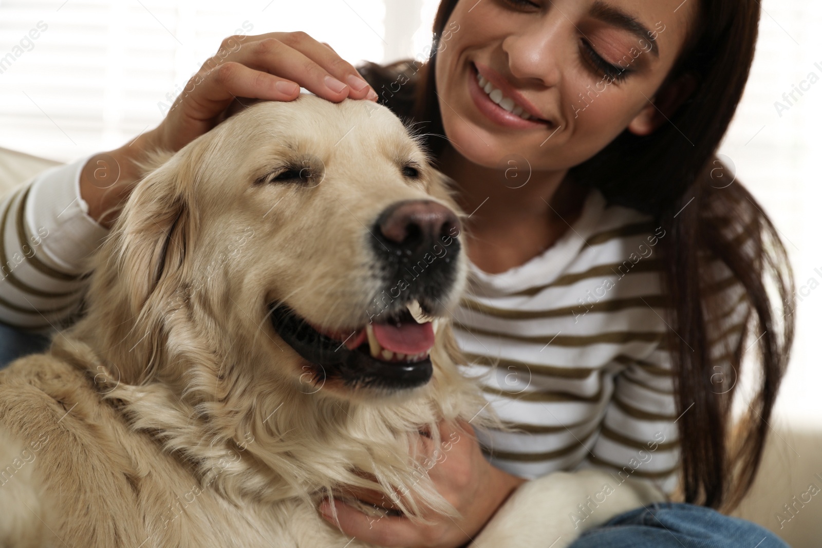 Photo of Young woman and her Golden Retriever at home. Adorable pet