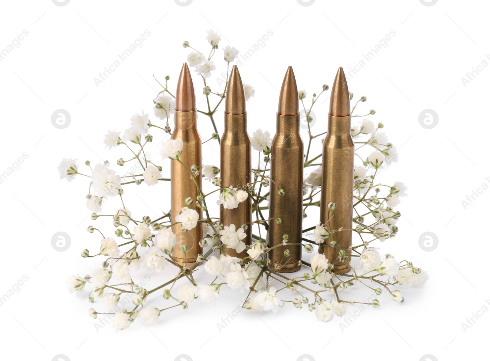 Photo of Bullets and beautiful gypsophila flowers isolated on white