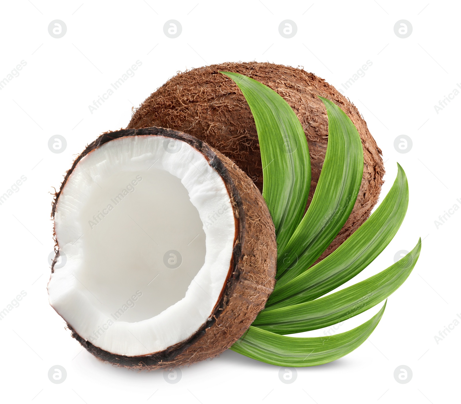 Tasty ripe coconuts and green leaves on white background Image of Tasty ripe coconuts and green leaves on white background