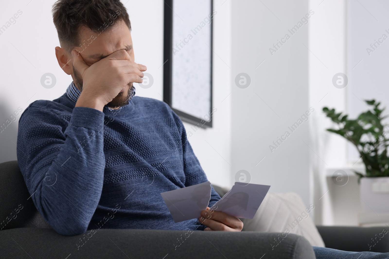 Photo of Crying man holding torn photo on sofa indoors. Divorce concept