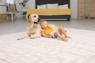 Adorable yellow labrador retriever and little boy at home