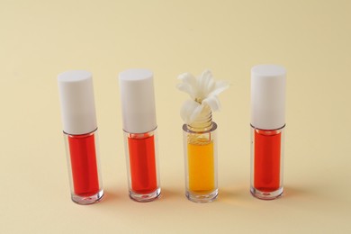 Bright lip glosses and flower on beige background