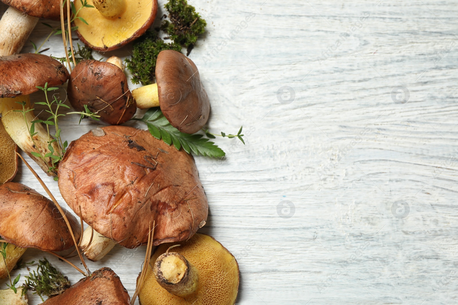 Photo of Boletus mushrooms and thyme on white wooden table, flat lay. Space for text