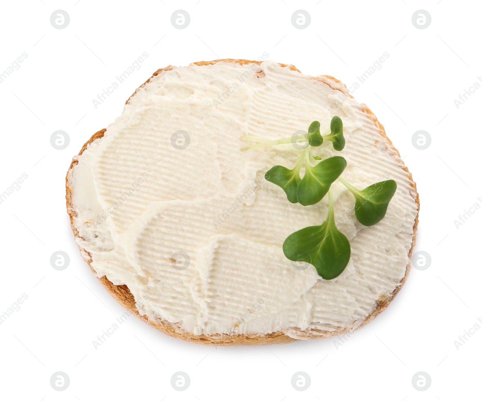 Photo of Delicious sandwich with cream cheese and microgreen isolated on white, top view