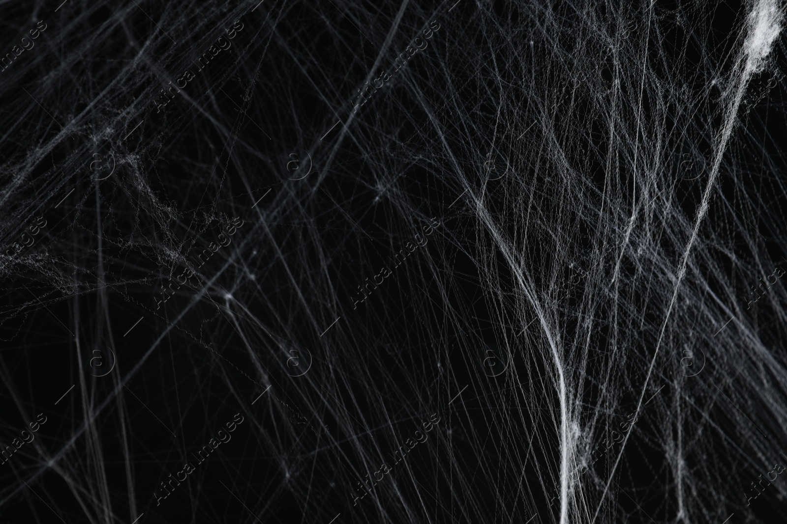 Photo of Creepy white spider web on black background