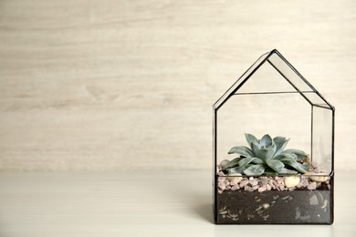 Photo of Beautiful florarium with succulent on wooden table against white background, space for text