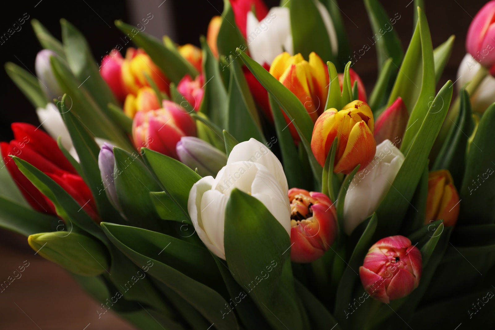 Photo of Beautiful bouquet of colorful tulip flowers, closeup