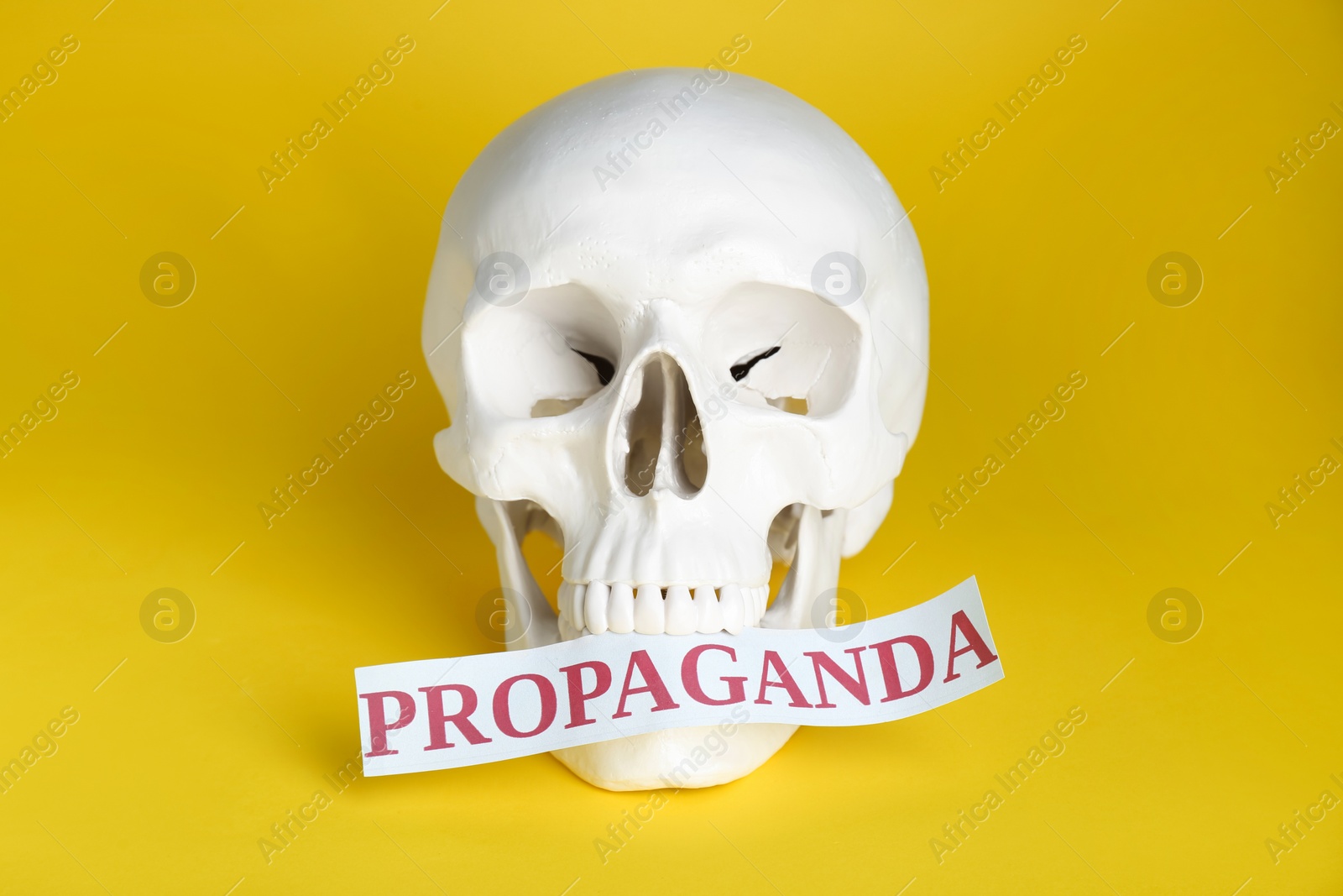 Photo of Information warfare concept. Human skull and paper card with word Propaganda on yellow background