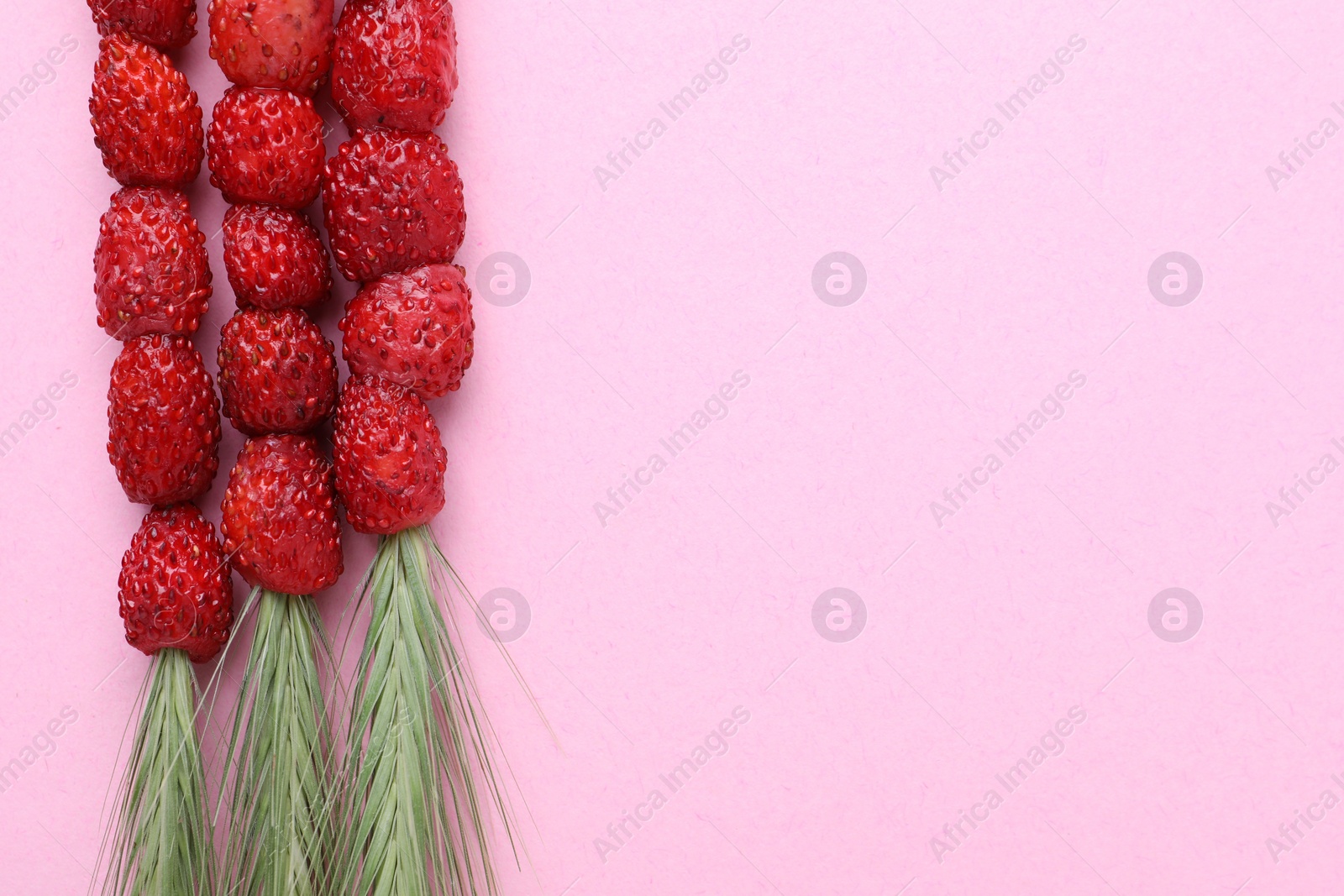 Photo of Grass stem with wild strawberries on pink table, flat lay. Space for text