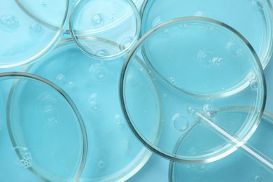 Petri dishes with liquid samples and pipette on light blue background, top view