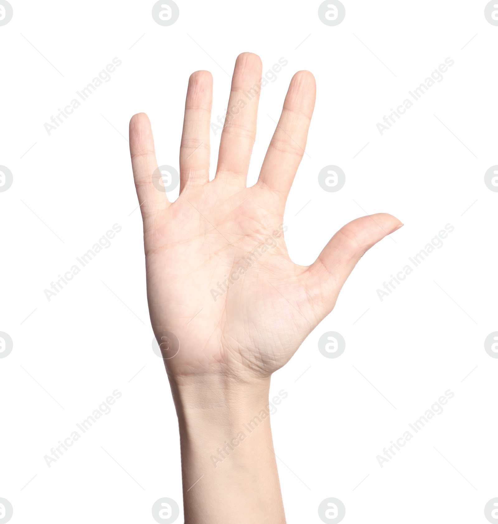 Photo of Woman showing number five on white background, closeup. Sign language