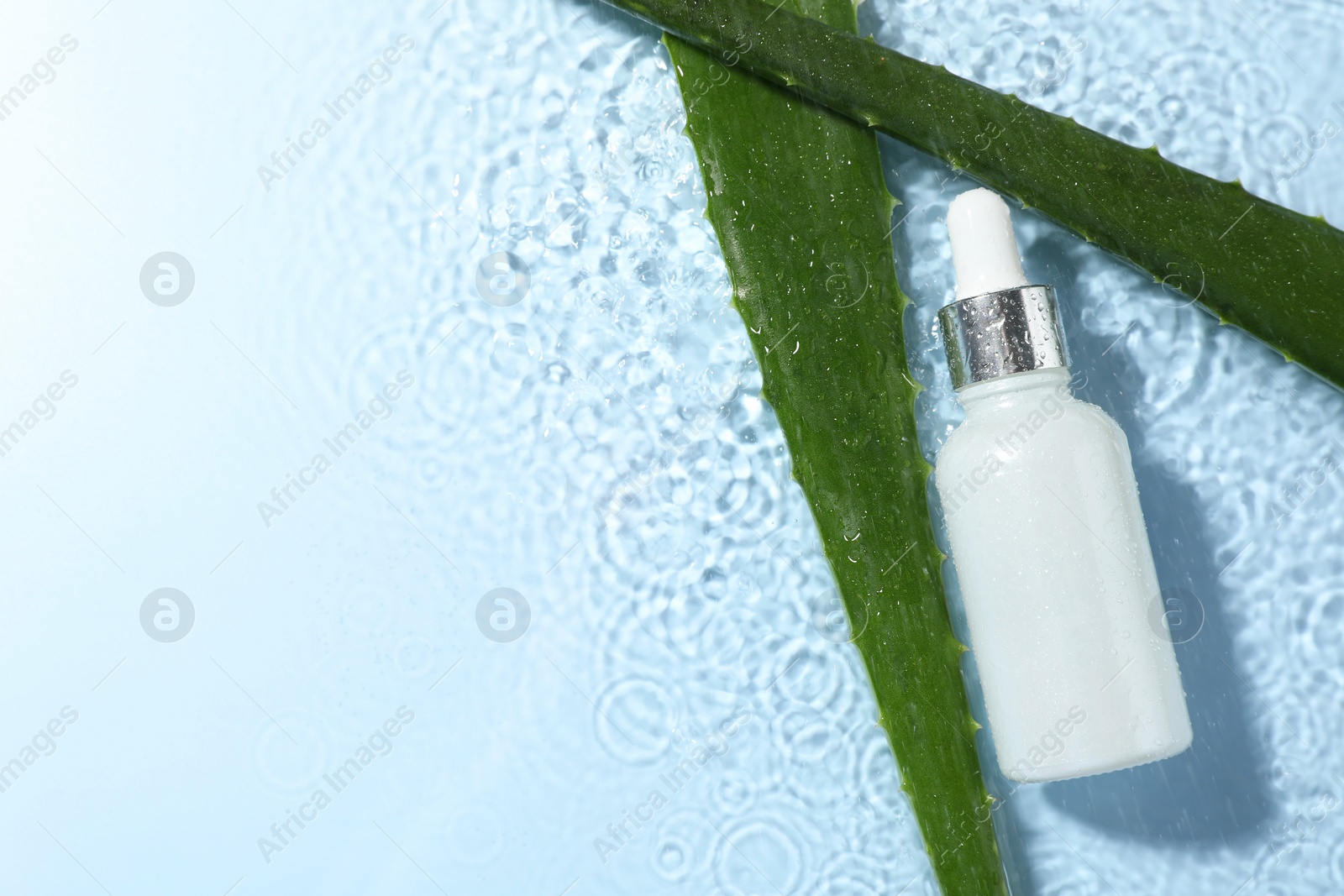 Photo of Bottle of cosmetic product and aloe leaves in water on light blue background, flat lay. Space for text