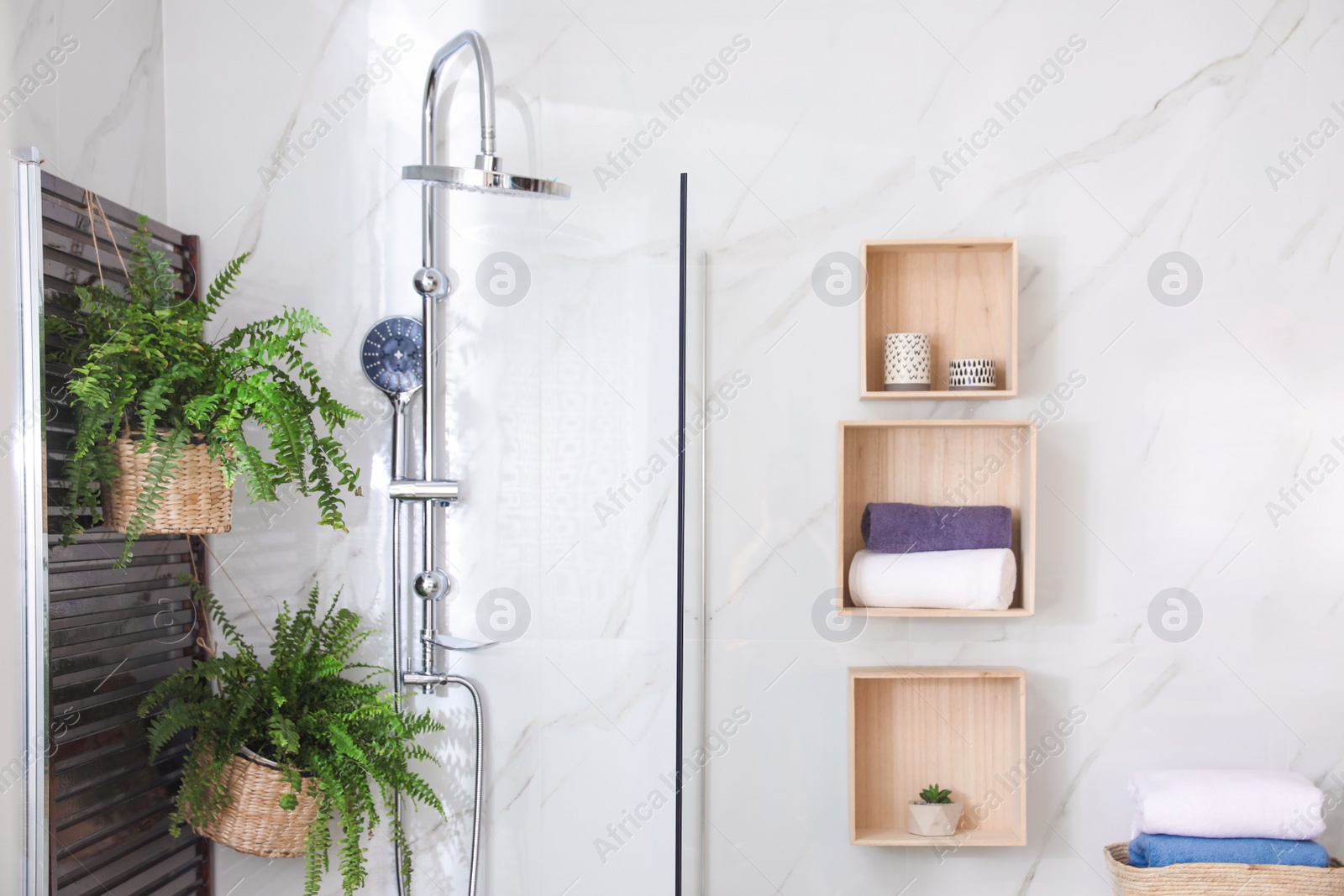 Photo of Bathroom interior with shower stall and houseplants. Idea for design