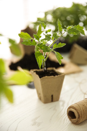 Photo of Green tomato seedling in peat pot on white wooden table