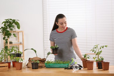 Photo of Planting seedlings. Happy woman near wooden table with different plants in room