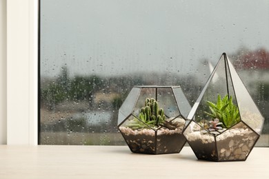 Photo of Glass florarium with succulents near window on rainy day. Space for text