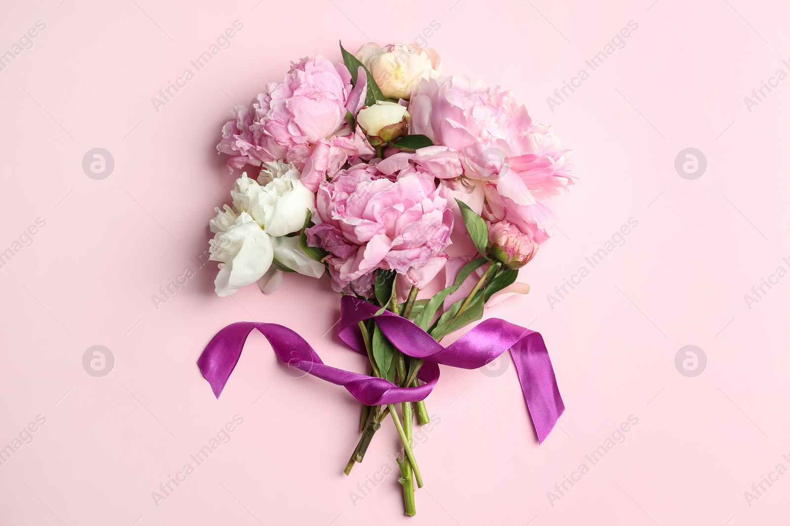 Photo of Bouquet of beautiful peonies with ribbon on pink background, flat lay