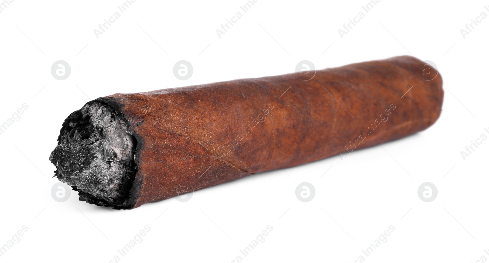 Photo of One burnt expensive cigar isolated on white