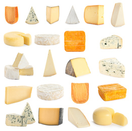 Image of Set with different sorts of cheese on white background