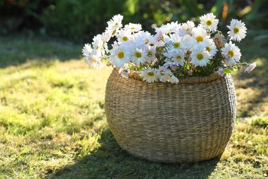 Beautiful wild flowers in wicker basket on green grass outdoors, space for text