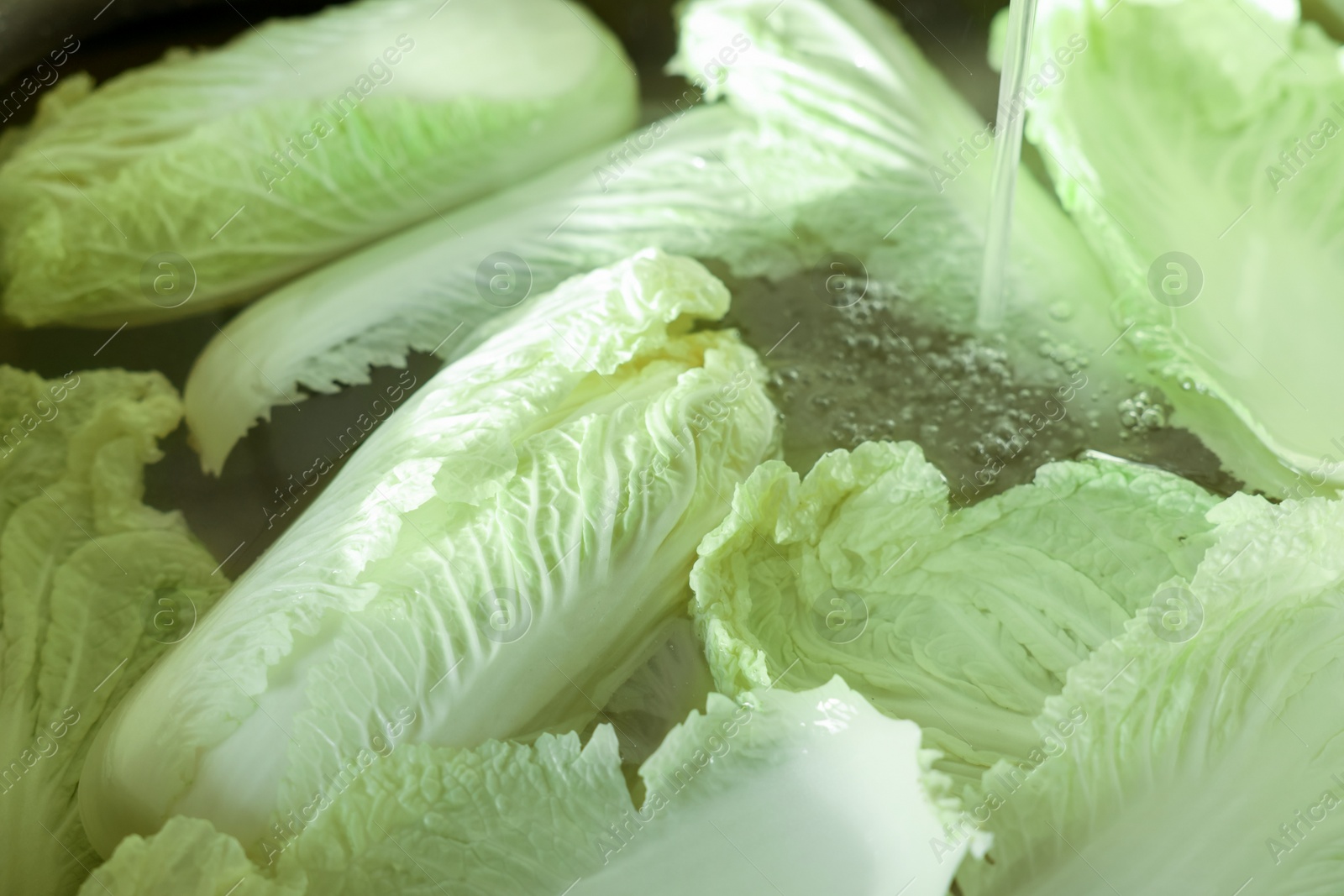 Photo of Pouring tap water on Chinese cabbage leaves in sink, closeup