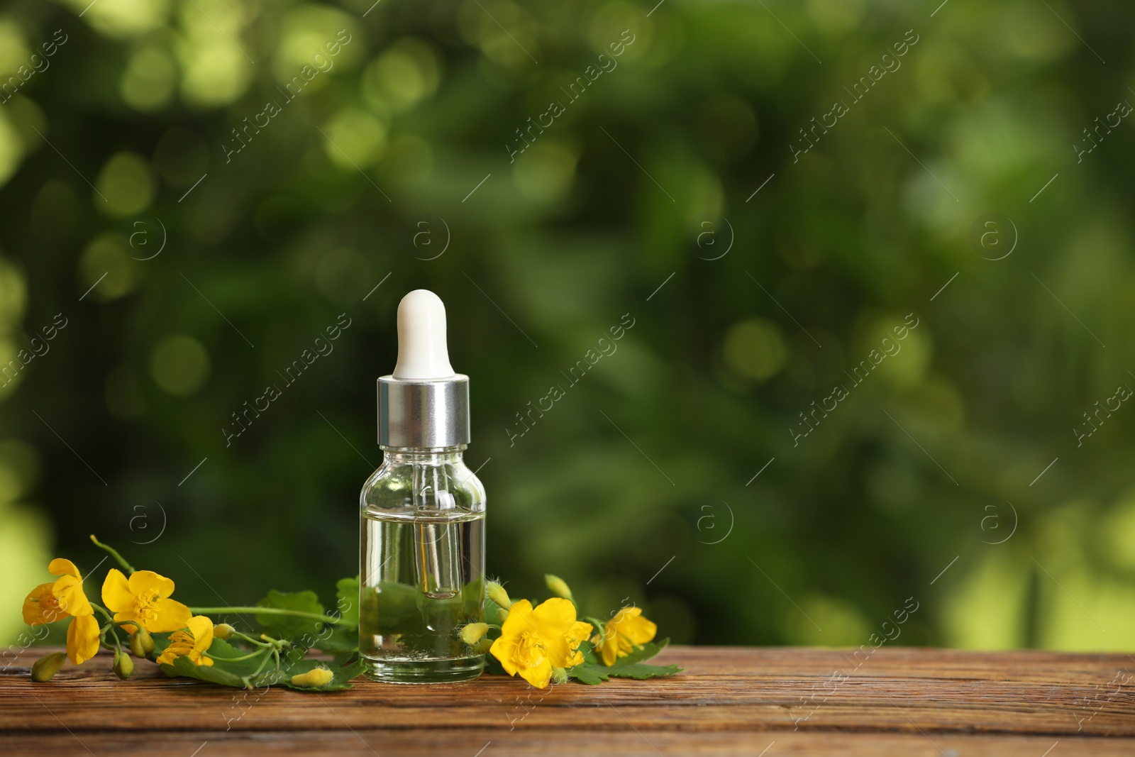 Photo of Bottle of natural celandine oil near flowers on wooden table outdoors, space for text