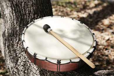 Photo of Drum with mallet on tree bark outdoors. Percussion musical instrument