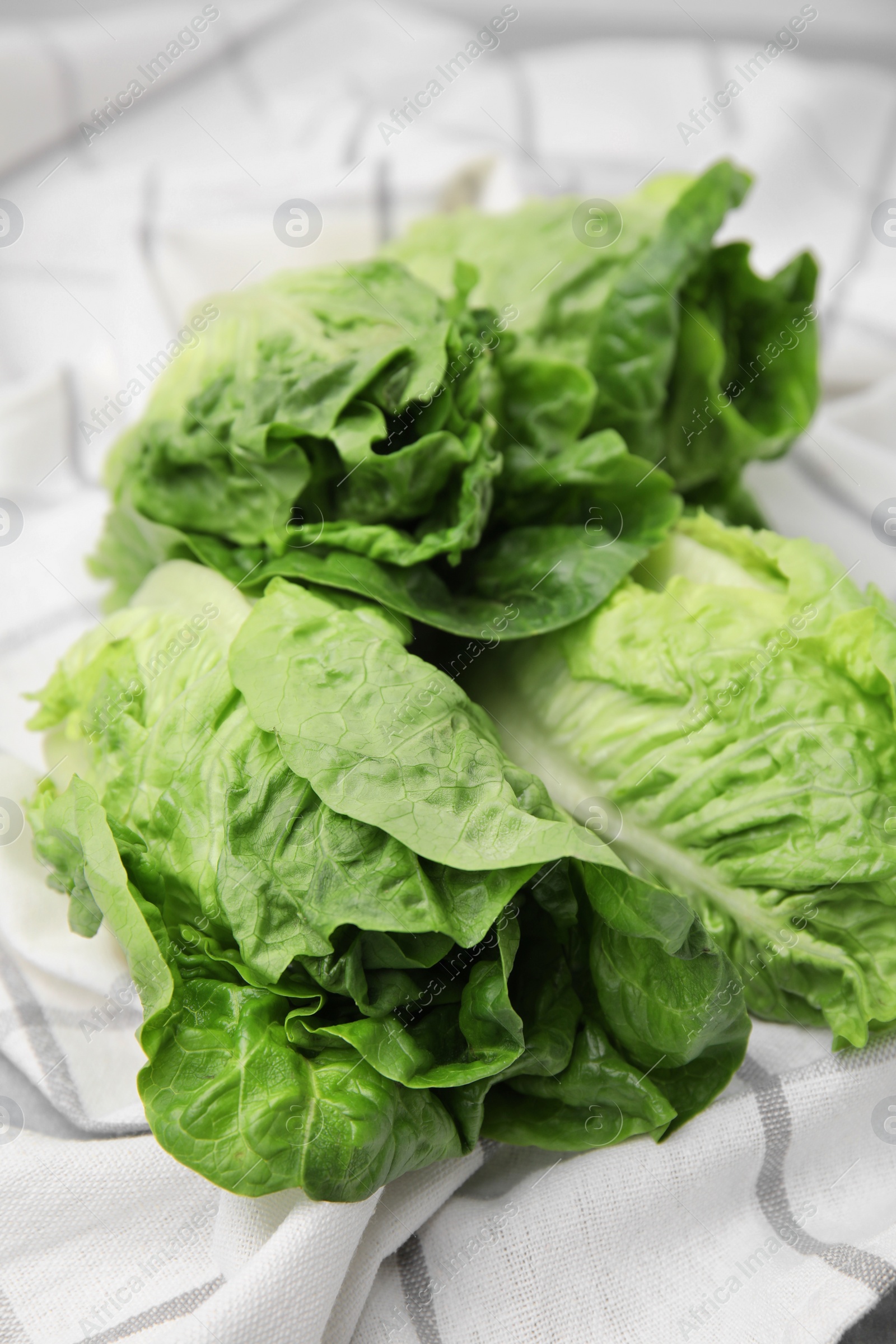 Photo of Fresh green romaine lettuces on kitchen towel, closeup