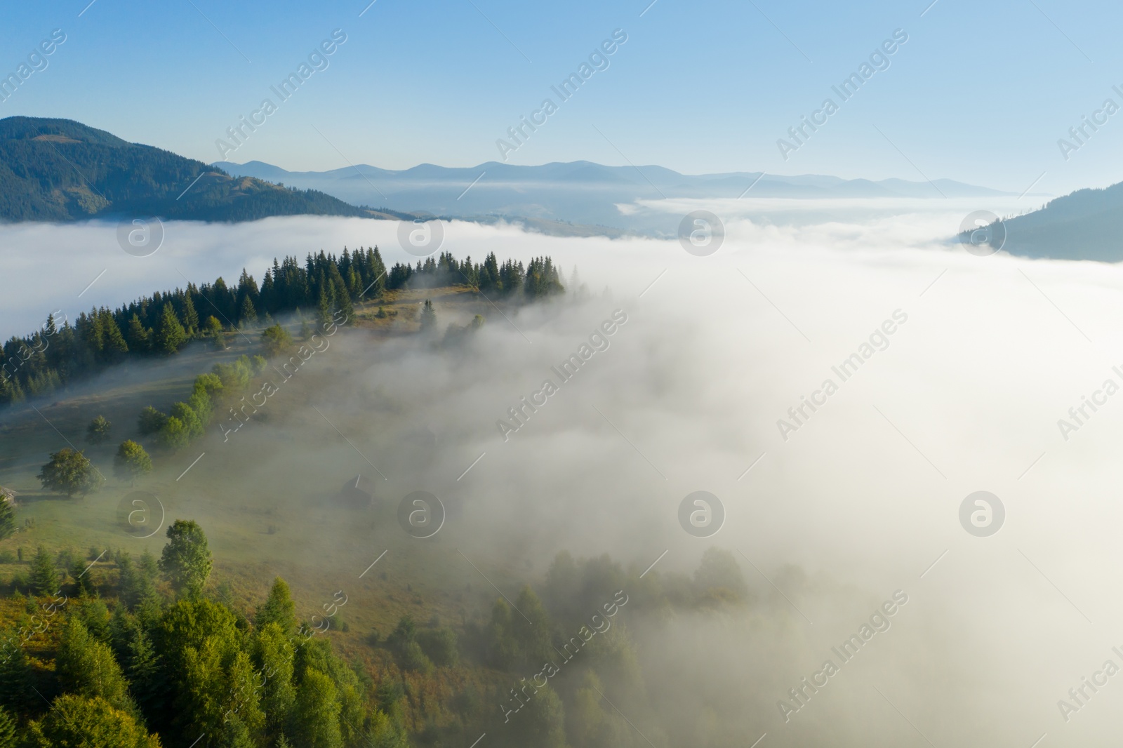 Image of Aerial view of beautiful landscape with misty forest in mountains