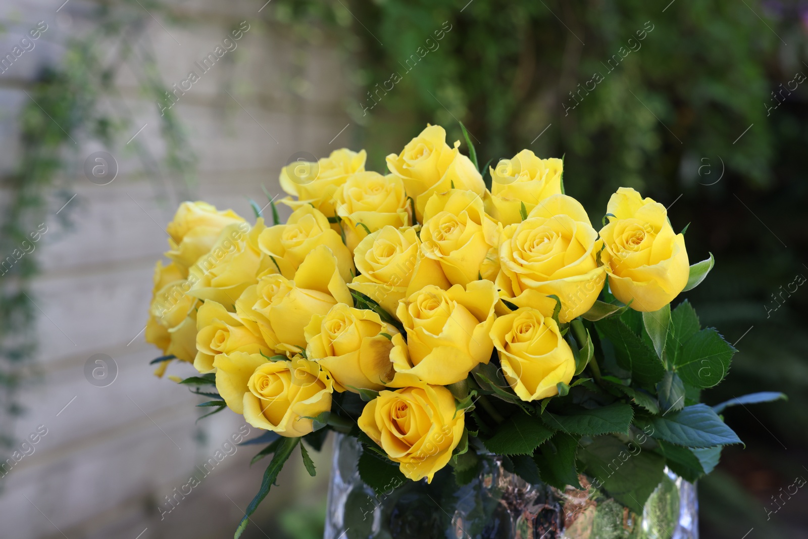 Photo of Beautiful bouquet of yellow roses in glass vase outdoors