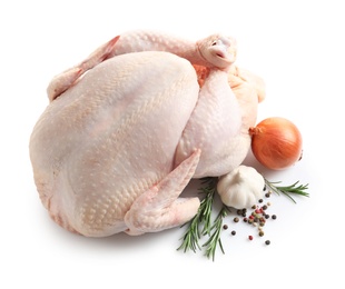 Photo of Raw turkey with ingredients on white background