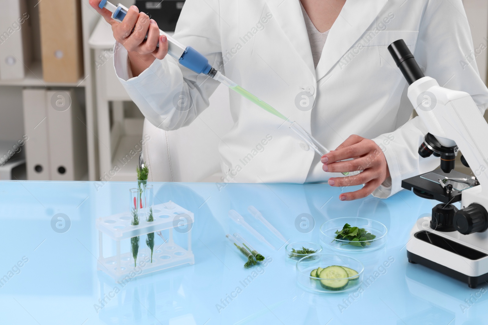 Photo of Quality control. Food inspector checking safety of products in laboratory