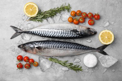 Photo of Raw mackerel, tomatoes and rosemary on light gray table, flat lay