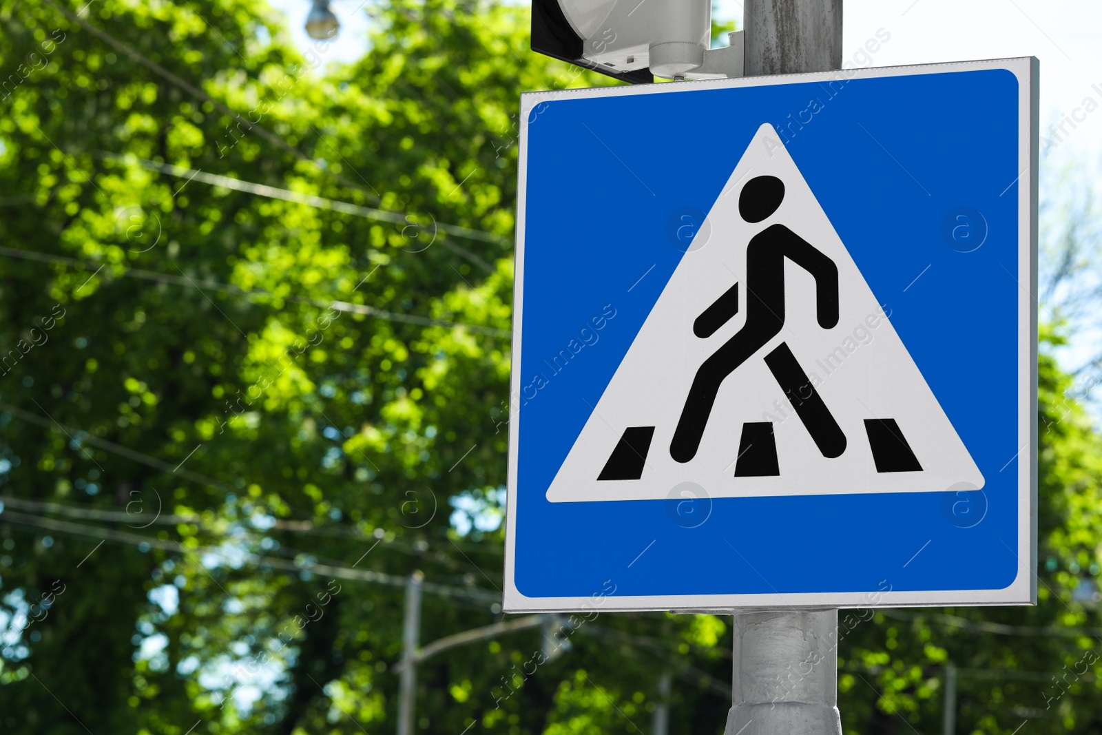 Photo of Post with Pedestrian Crossing traffic sign against trees on sunny day