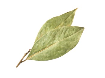 Photo of Two aromatic bay leaves on white background